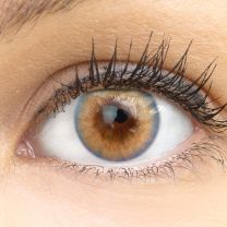 Padua Choco Braun - braune farbige Kontaktlinsen ohne Stärke