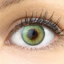 Padua Emerald Grün - grüne farbige Kontaktlinsen ohne Stärke