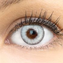 Padua Gray Grau - Graue farbige Kontaktlinsen ohne Stärke