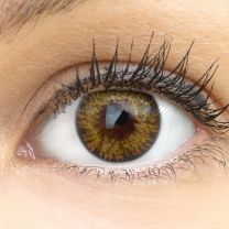 Palermo Brown Braun - braune farbige Kontaktlinsen ohne Stärke
