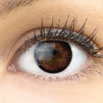 Siena Choco Dunkelbraun - dunkelbraune farbige Kontaktlinsen ohne Stärke