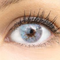Trento Gray Grau - Graue farbige Kontaktlinsen ohne Stärke