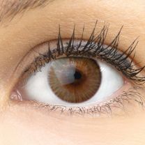 Verona Brown Braun - braune Kontaktlinsen ohne Stärke