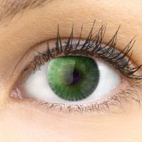 Verona Green Grün - grüne farbige Kontaktlinsen ohne Stärke